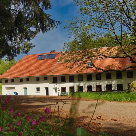 Gorwihl Schwarzwald Escapeゲストハウス エクステリア 写真